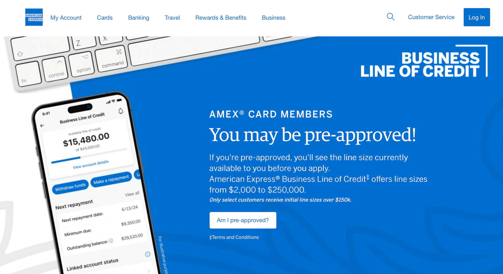 American Express Business Line of Credit landing page